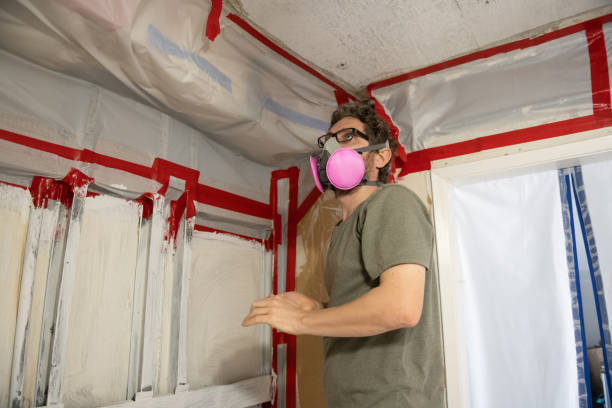 Best Emergency Mold Remediation  in Ordway, CO