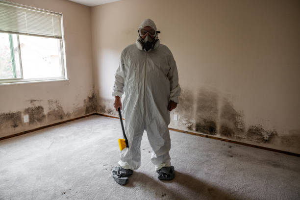 Best Commercial Mold Inspection  in Ordway, CO